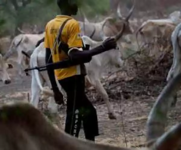 Fulani Herdsmen Raid Kogi Communities, 22Dead, Many More Displaced
